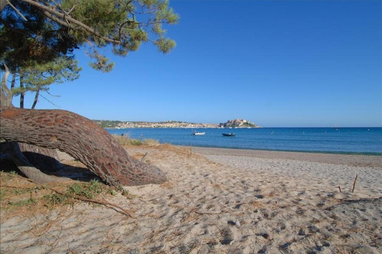 location de vacances Olivier jardin privatif et piscine chauffée partagée Calvi  Exterior foto